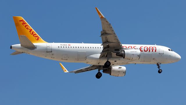 TC-DCE:Airbus A320-200:Pegasus Airlines